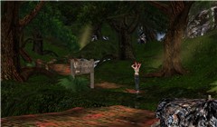 Straylight Sculpted Trees - Koinup Burt
