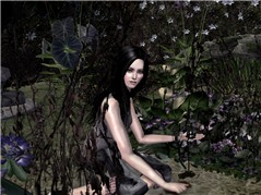Dead Gardens