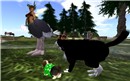 cat and dog