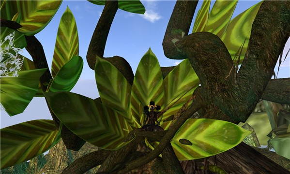 SPIRIT TREE