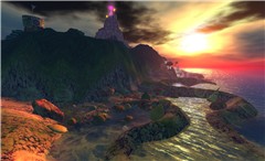 tidal pools full of surreal life - Torley Olmstead