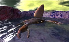 crab - Torley Olmstead