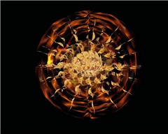 Big Bang