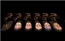 sandal_002