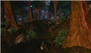 Bettina Tizzy's Chakryn Forest in all its splendor - Koinup Burt