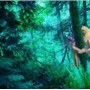 Amenthia_forest