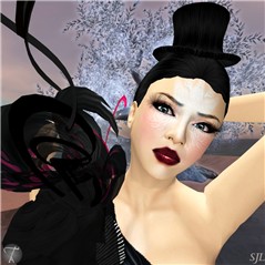 Rezzblog Shai3