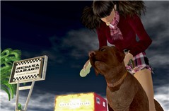 SecondLife-2009-02-16-15-43-13-00