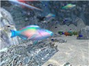 mermaid cave