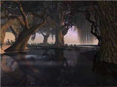 The Secret Garden01, Halcyon