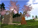 sakurahouse_001