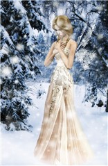 SnowFairy
