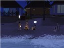Roasting Marshmallow