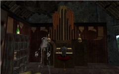 The Phantom and Organ