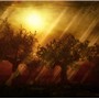 Rays of Light