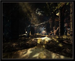 Through the trees
