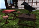 crow_002