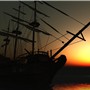 silhouette - Torley Olmstead