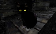 THE BLACK CAT - Torley Olmstead