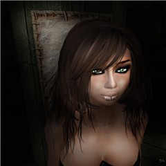 Snapshot_041b