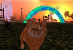The mighty cat