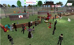 the balls are flying - Torley Linden