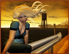 Wind