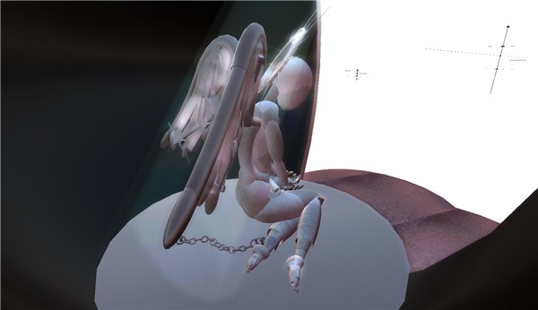 Captured Angel
