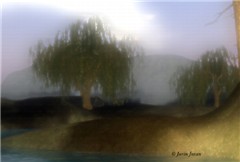 Foggy Day