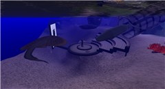 Classroom Under the Sea