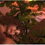 New Trails_006-editedB