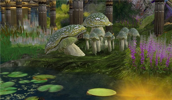 The most awesome mushrooms of the grid - Koinup Burt