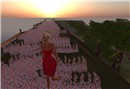 Tempura Island_006