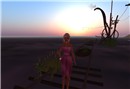 Rez_006