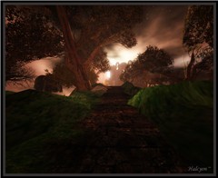 Follow the road