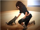 Kyn pet