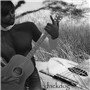 Jackdog guitar