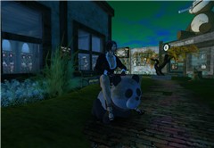 Rolling in my Panda!