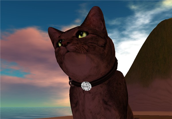 I will rule the world!