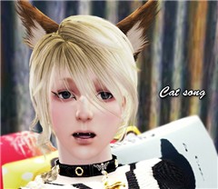 cat song