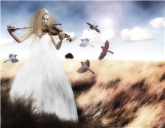 The Music of Liberty