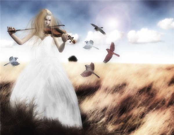 The Music of Liberty