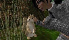 The Bunneh Whisperer