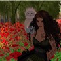 poppy field