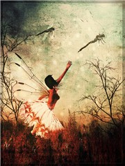 chasing dragonflies
