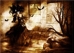 after the flood