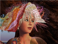 Snapshot_064