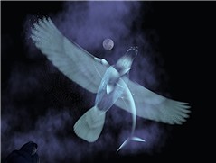 Snapshot_113
