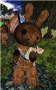 The rabbit and I