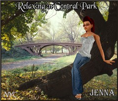 Relaxing in Central Park